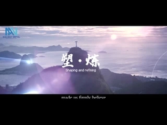 Vidéo promotionnelle de Shanghai Walmay Metal Group